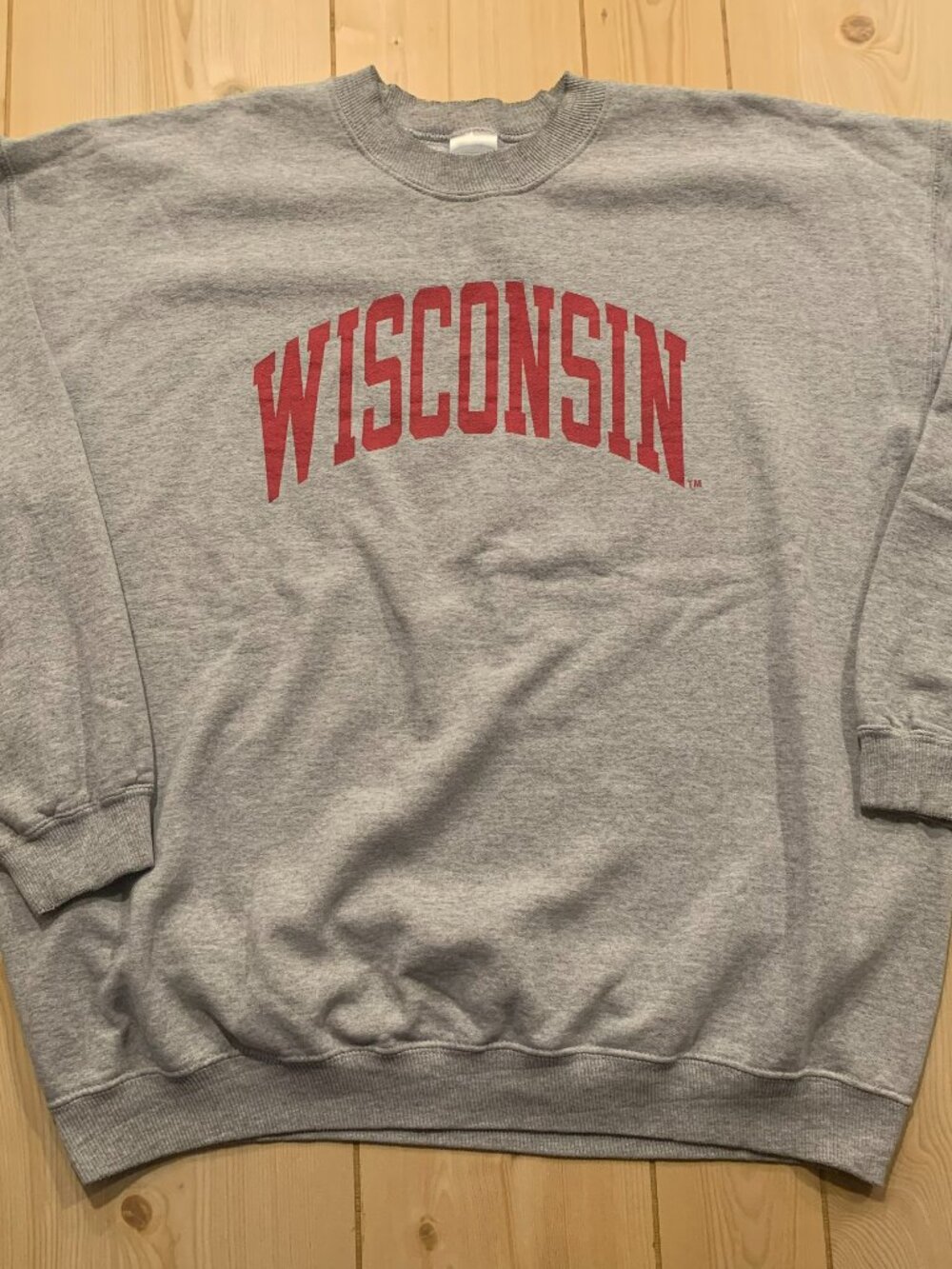 Vintage Y2K Wisconsin Badgers University College Athletic Sports Sweatshirt XL